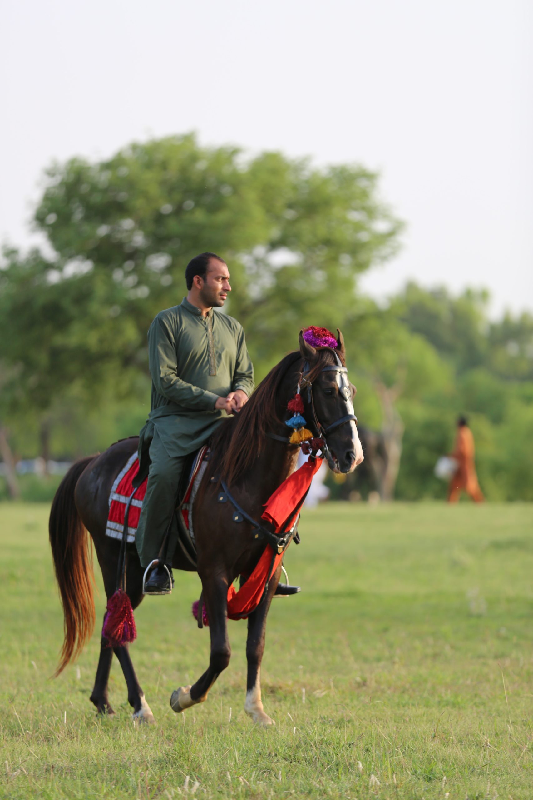 cheval pour polo